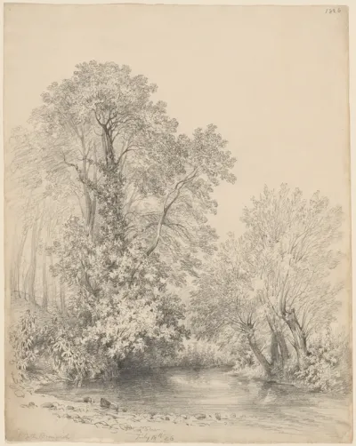 Trees by the River at Castle Bromwich