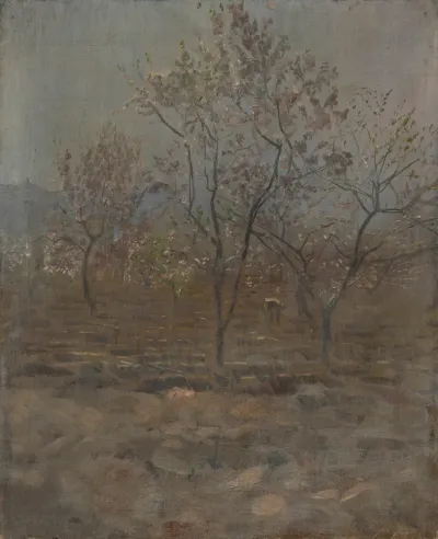 Trees in Blossom