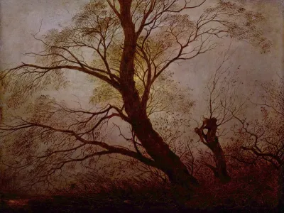 Trees in  the moonlight
