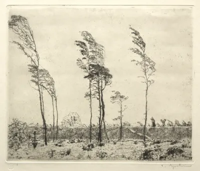 Trees in Wind