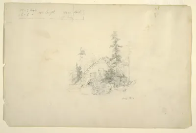 Trees, July