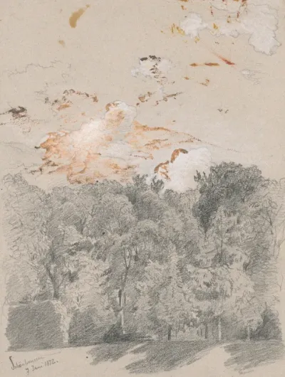 Trees - Motif from Schönbrunn Park