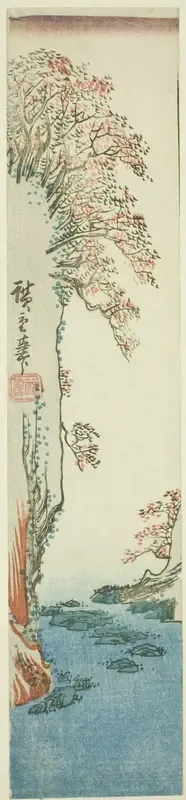 Trees on a cliff above a river