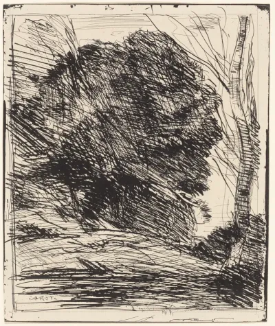 Trees on a Mountainside