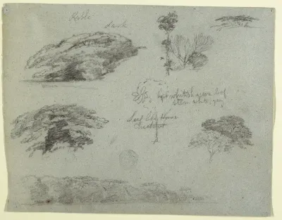 Trees, Tree Tops, and a Wooded Bank, Saddleback, Maine