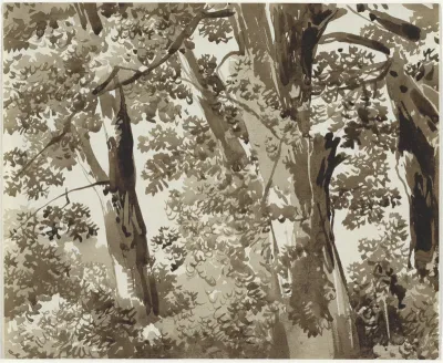 Trees with Dense Undergrowth