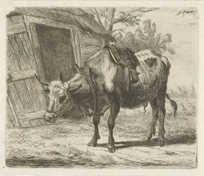Trekos met juk voor de stal