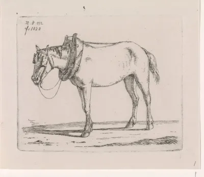 Trekpaard