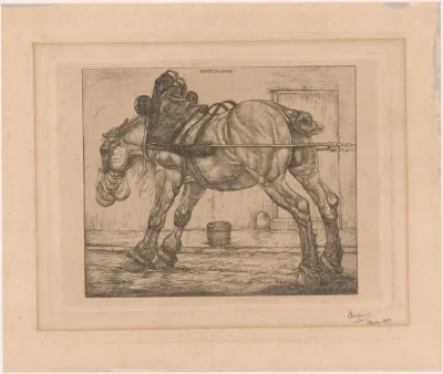 Trekpaard met haverzak