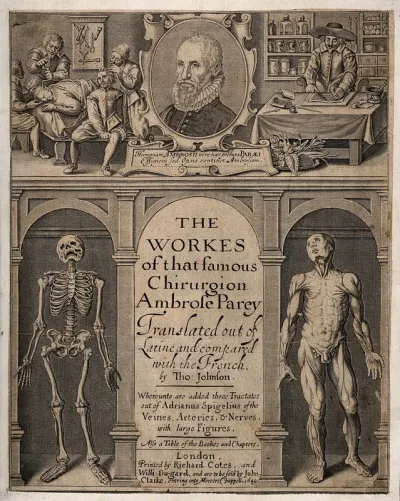 Trephination, preparation of medicines from raw materials, a skeleton, a muscleman and a portrait of A