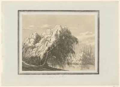 Treurwilg