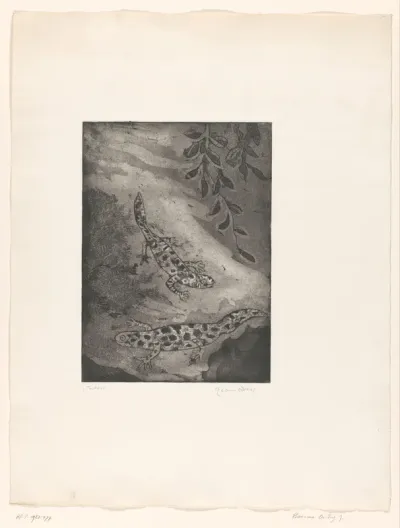 Tritons
