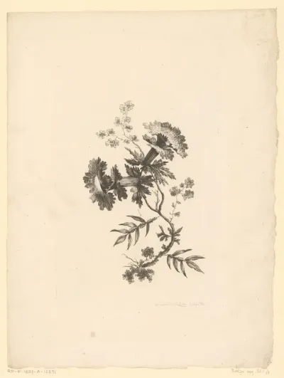 Trompetbloemen