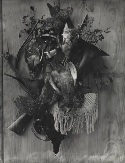 Trophy of the Hunt
