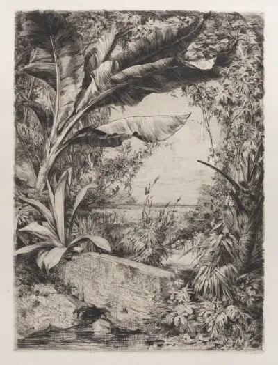 Tropical Plants