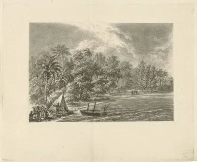 Tropisch landschap