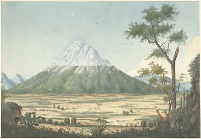 Tropisch landschap met bergen