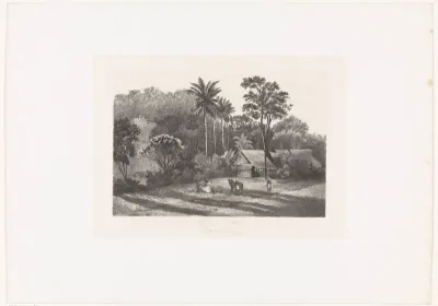 Tropisch landschap