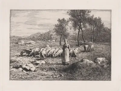 Troupeau de Porcs