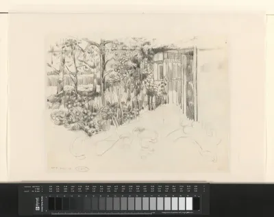 Tuin bij een huis