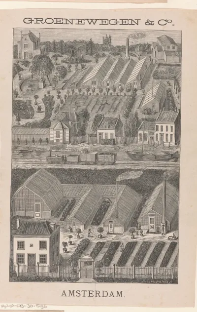 Tuinbouwbedrijf Groenewegen & Co. te Amsterdam
