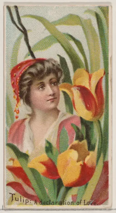 Tulip: A Declaration of Love, from the series Floral Beauties and Language of Flowers (N75) for Duke brand cigarettes