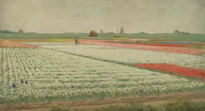 Tulip Fields