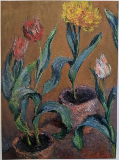 Tulips