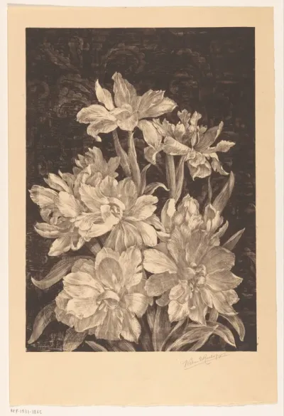 Tulpen