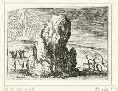 Tulpen en de zon