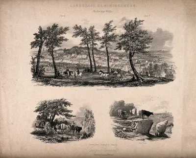 Tunbridge Wells, Kent: three views from the common
