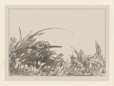 Tureluur in het gras