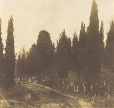 Turkey: Scutari Cemetery