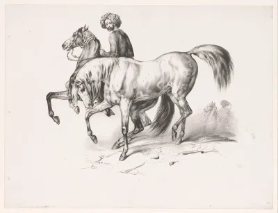 Turkse paarden