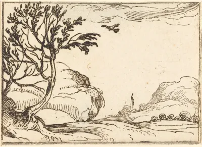 Turtle Dove Flying in the Desert