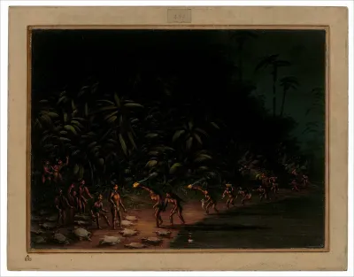 Turtle Hunt