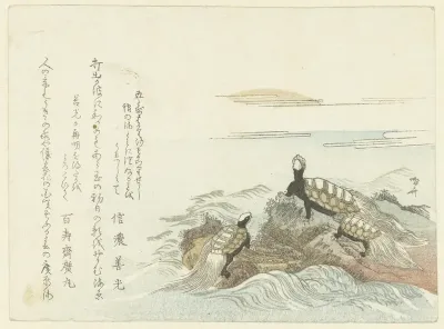 Turtles on a Rock