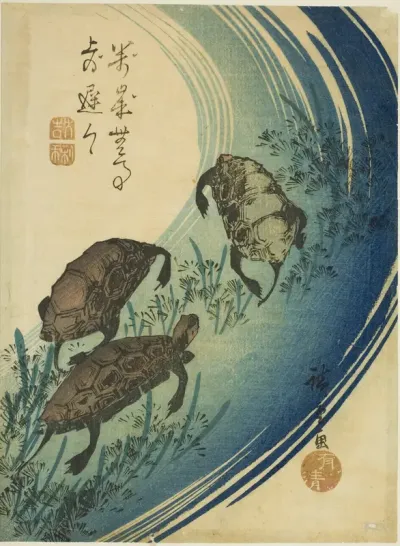 Turtles swimming in a stream