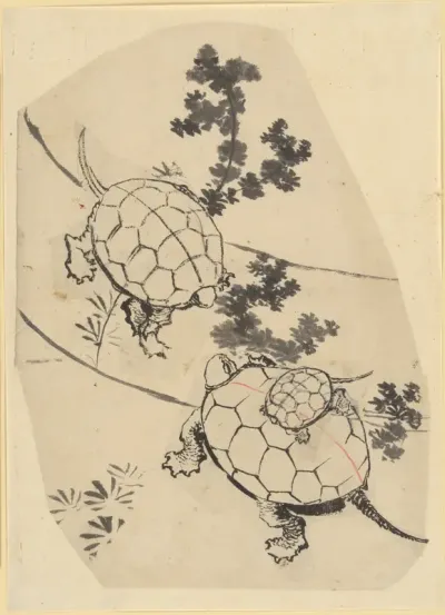 Turtles