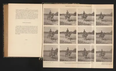 Twaalf bewegingsstudies van een galopperend paard