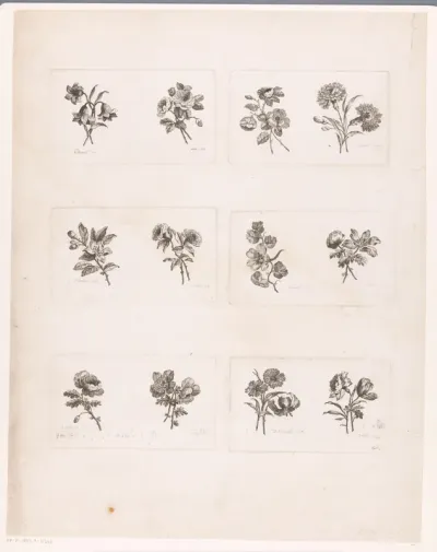 Twaalf bloemen