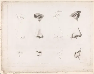Twaalf studies van ogen en neuzen