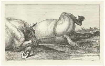 Twee achter elkaar liggende gesneuvelde paarden