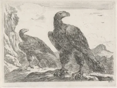 Twee adelaars met koppen naar rechts