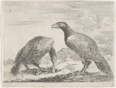 Twee adelaars, waarvan één aan een dood lam peuzelt