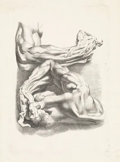 Twee anatomische studies van armen