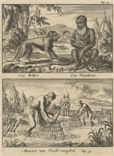 Twee apen / Visvangst met korven
