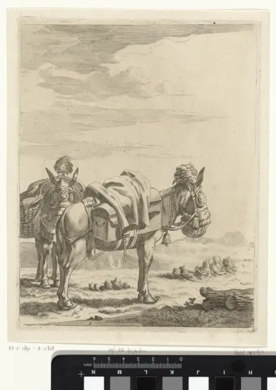 Twee bepakte ezels in een landschap