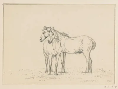 Twee bij elkaar staande paarden
