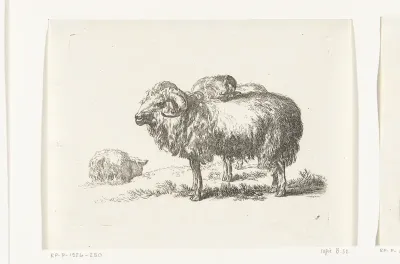 Twee bokken en een liggend schaap
